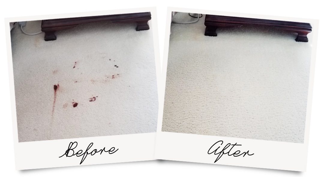 Blood Comes Right Out of Carpet