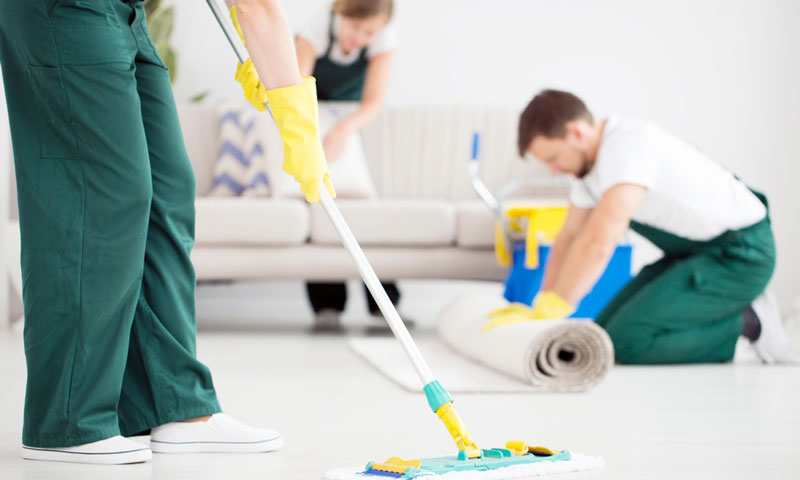Maintaining a Clean Carpet